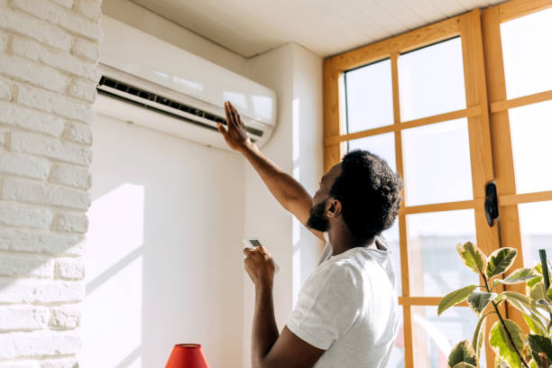 Best Ductless Mini-Split Systems in Freeland, MI